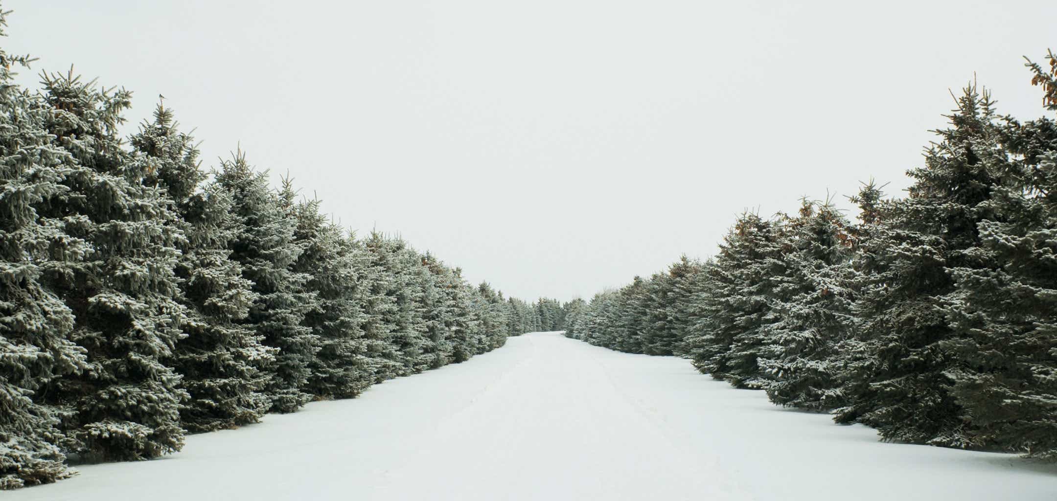 outlander-snow